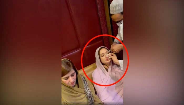 PTI's Maleeka Bokhari injured in NA brawl