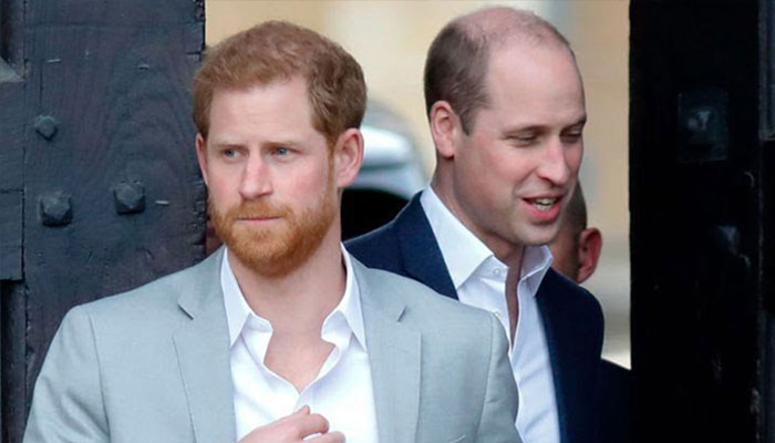 Prince William ‘threw Harry out’ after explosive fight over Meghan Markle
