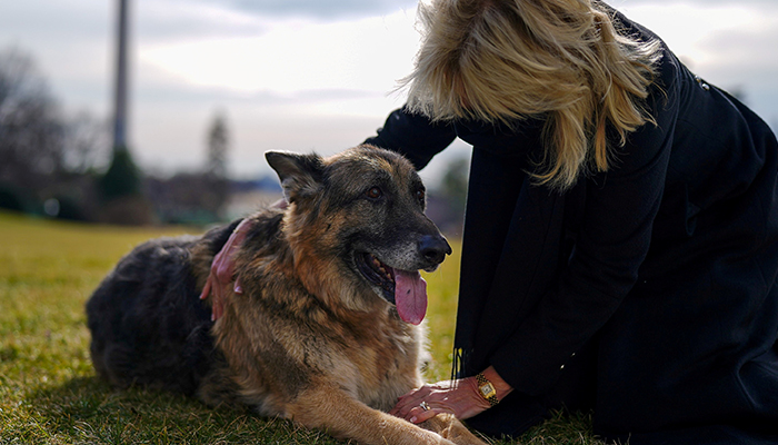 First Lady Jill Biden pets one of the family dogs, Champ, after his arrival from Delaware at the White House in Washington, US January 24, 2021. Picture taken January 24, 2021. — Reuters/File