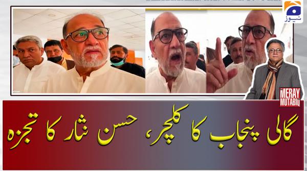 گالی پنجاب کا کلچر، حسن نثار کا تجزہ