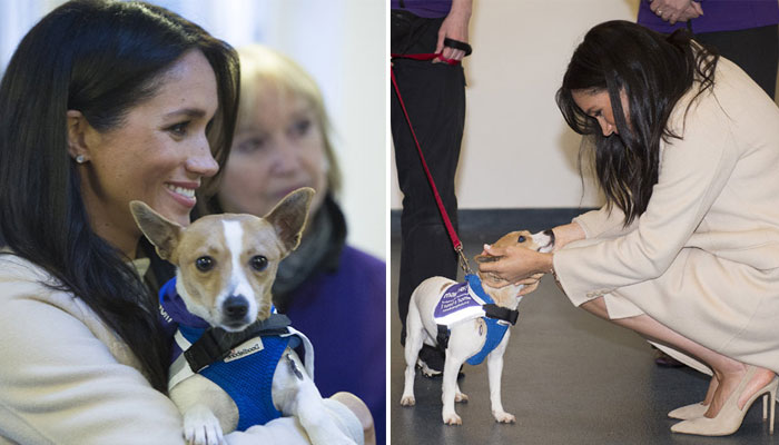 Meghan Markle grateful to those who gave forever homes to animals amid pandemic 