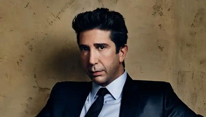 David Schwimmer says he was ‘supposed to be a doctor’ but he got ‘distracted’ by girls