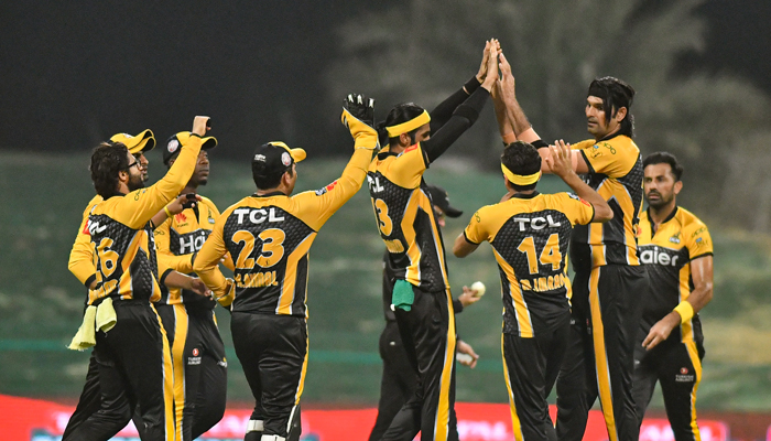 Peshawar Zalmi celebrate after dismissing a Karachi Kings batsman at Abu Dhabis Sheikh Zayed Cricket Stadium. Photo: PSL