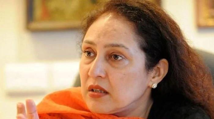 Watch: Punjab MPA Jugnu Mohsin pays tribute to Benazir Bhutto on 68th birthday