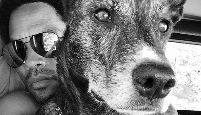 Lenny Kravitz loses pet dog, shares heart-breaking note