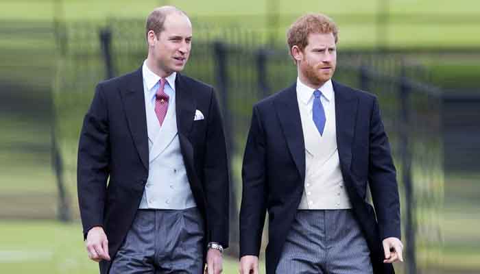 Prince Harry and Prince Williams touching words to their mom Princess Diana revealed