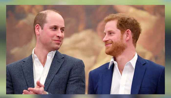 Prince William and Harry will surprise world to renew the pledge they made to Princess Diana?