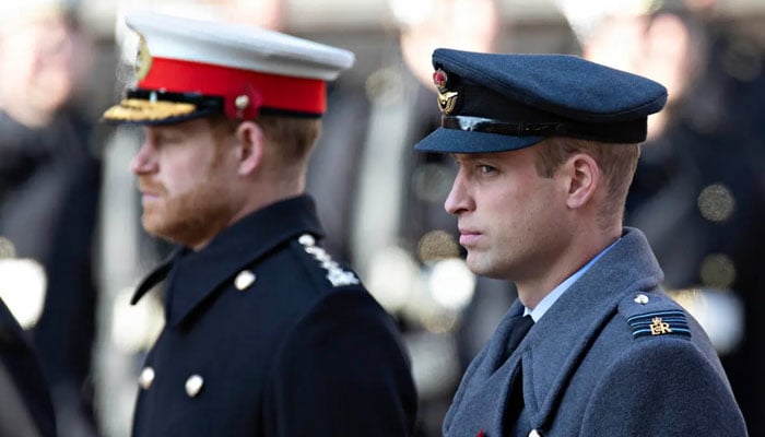 Princes William and Harry have been close, united by the shared trauma of losing their mother Diana