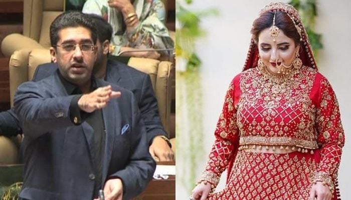 Hareem Shah's mysterious PPP spouse news is a publicity stunt: Sindh minister Taimur Talpur