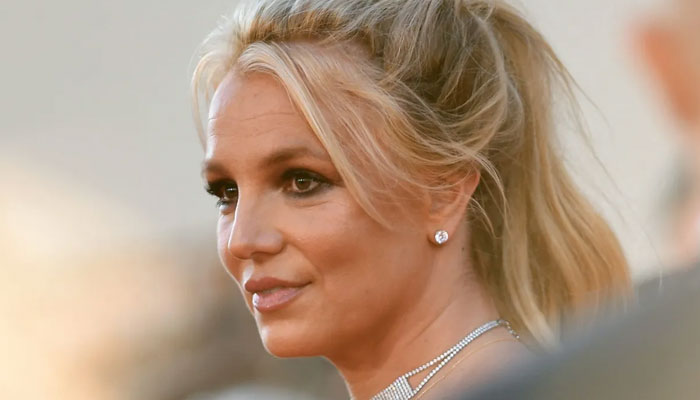 Britney Spears turned to her social media and lashed out at all photographers and reporters prying on her