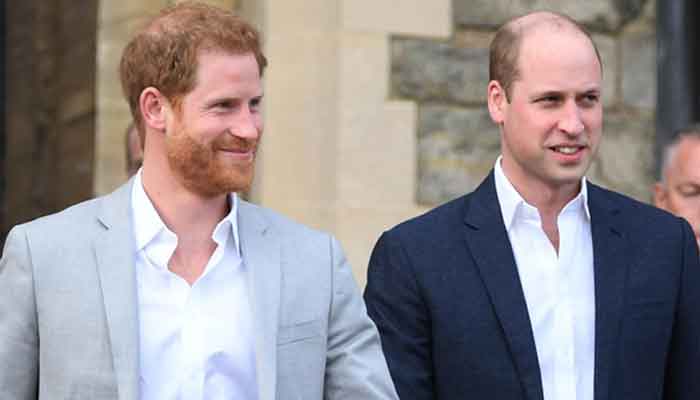 Prince William and Harry set to begin new era of relationship with the unveiling of Diana statue