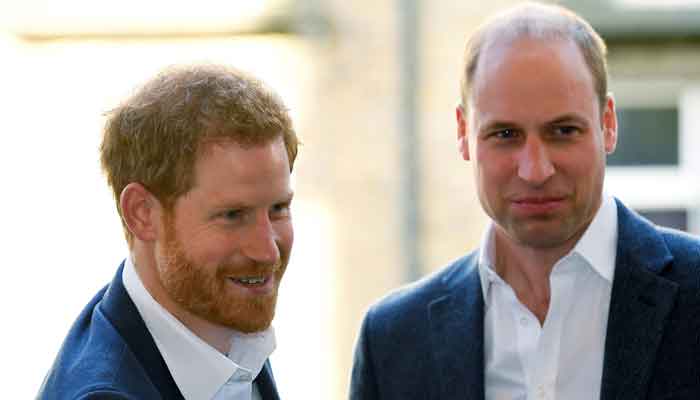 Prince Harry trying to undermine Prince Williams importance, claims Royal expert