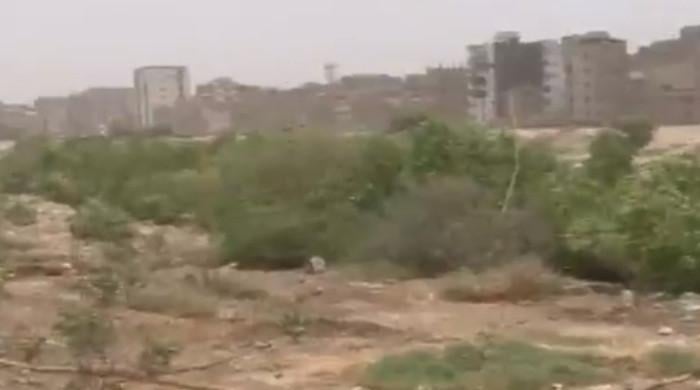 As Karachi's concrete jungle expands, work on People's Urban Forest moves at a snail's pace