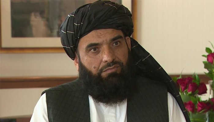 Taliban spokesperson Suhail Shaheen. Photo: Geo.tv/ file