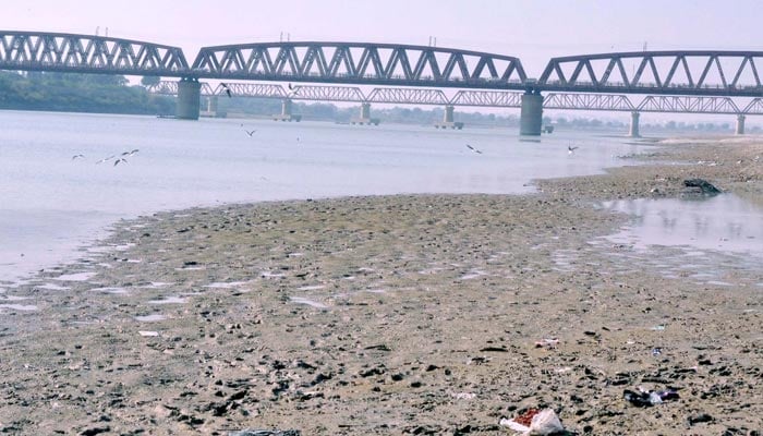 A view of the in River Indus at Kotri downstream near Hyderabad on Saturday, May 29, 2021. — PPI/File