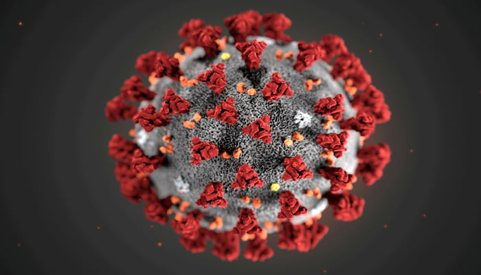 The ultrastructural morphology exhibited by the 2019 Novel Coronavirus (2019-nCoV), which was identified as the cause of an outbreak of respiratory illness first detected in Wuhan, China, is seen in an illustration released by the Centers for Disease Control and Prevention (CDC) in Atlanta, Georgia, US January 29, 2020. — Reuters/File
