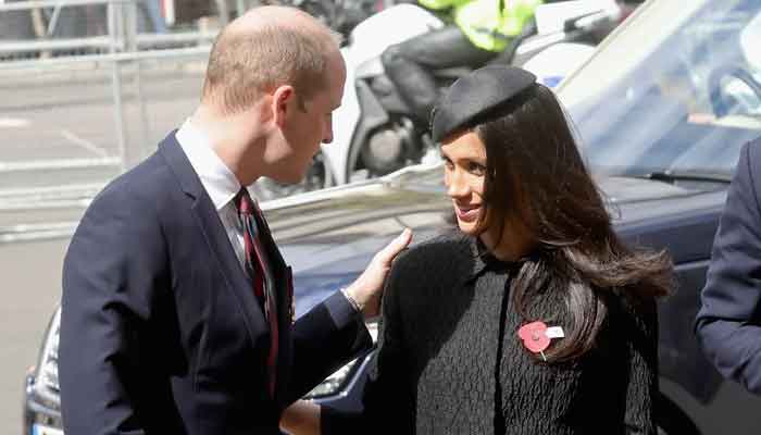 Il principe William sospetta che Meghan Markle sia entrata nella vita del principe Harry: rapporto