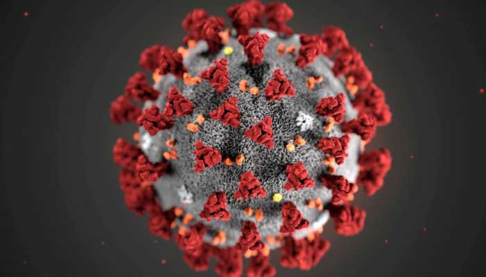 The ultrastructural morphology exhibited by the 2019 Novel Coronavirus (2019-nCoV), which was identified as the cause of an outbreak of respiratory illness first detected in Wuhan, China, is seen in an illustration released by the Centers for Disease Control and Prevention (CDC) in Atlanta, Georgia, U.S. January 29, 2020. -REUTERS.