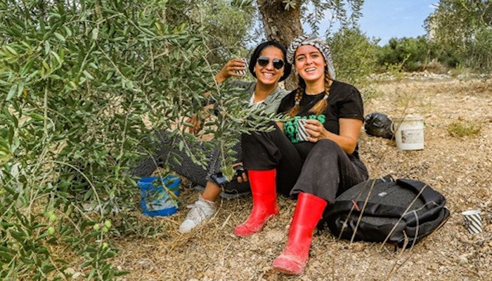 Fighting back: Palestinian bloggers promote tourism as an act of defiance - Vimarsana News
