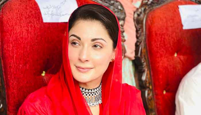 Photo of Imran Khan’s election symbol should be a “thief” instead of a cricket bat: Maria Mnawaz
