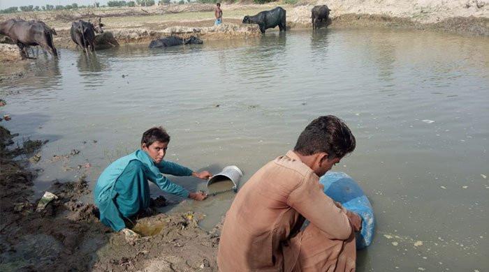 Balochistan sees sharp rise in hepatitis cases due to lack of clean drinking water
