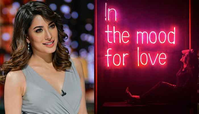 Mehwish Hayat shares cryptic post about love mood after her dance video goes viral