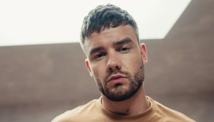Liam Payne joined hands with Dragons’ Den star Steven Bartlett to trial the use of magic mushrooms
