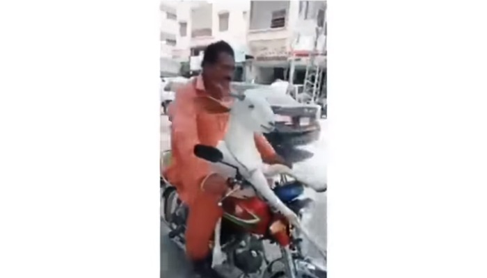 Video of man riding with goat on motorbike triggers mixed social media reaction