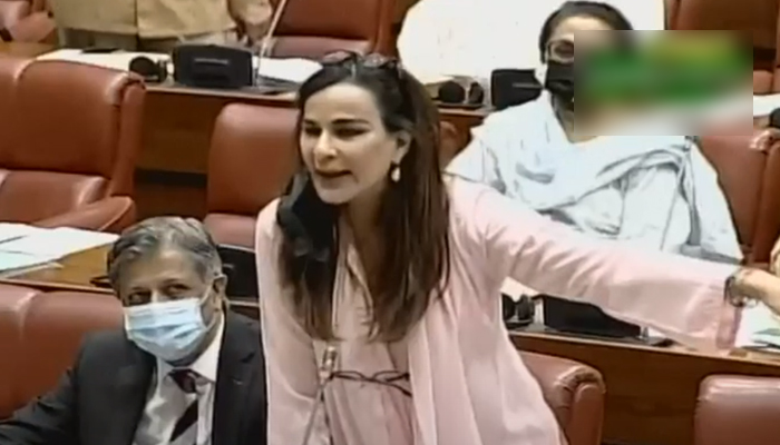 Senator Sherry Rehman speaking on the floor of the Senate in Islamabad, on July 14, 2021. — Screemgrab via YouTube