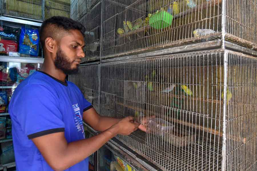 In this photograph taken on July 14, 2021 a shopkeeper feeds birds inside a closed pet shop in Dhaka. — AFP
