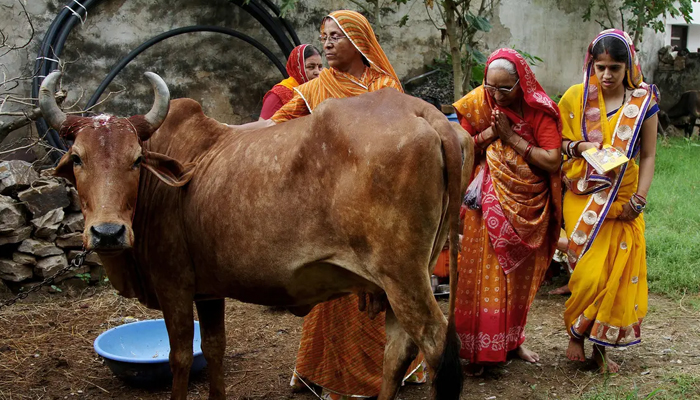 India bans animal sacrifice in occupied Kashmir ahead of Eid ul Adha India bans animal sacrifice in occupied Kashmir ahead of Eid ul Adha