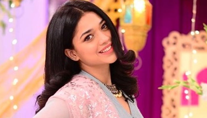 Sanam Jung weighs in on divorce rumors, says it put pressure on the family