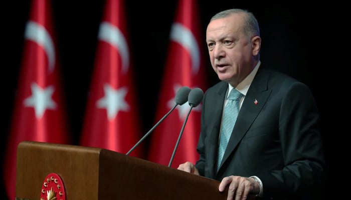 Turkish President Tayyip Erdogan speaks during an action plan meeting to prevent violence against women, in Ankara, Turkey July 1, 2021. — Reuters/File