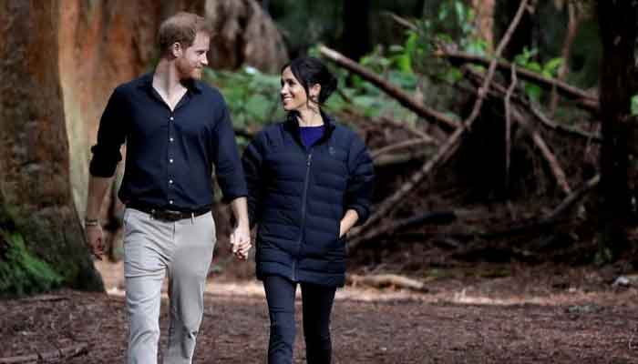 Prince Harry and Meghan Markle dont care about UK says royal biographer