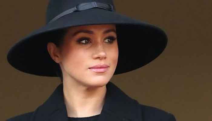 Meghan Markle commercialises royal family with American style branding: report