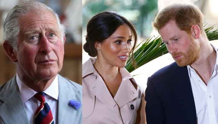 Prince Charles concerned about Prince Harry and Meghan Markles relationship