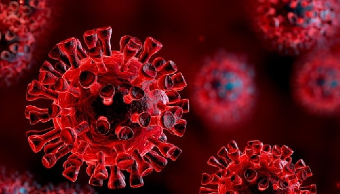 The World Health Organization (WHO) says the delta variant of the coronavirus is not specifically targeting children.