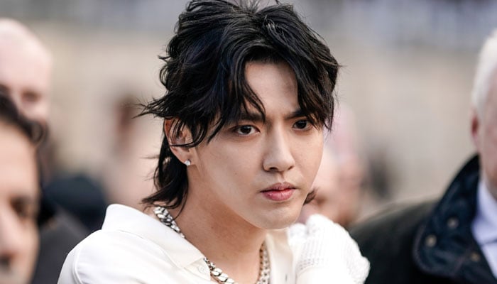 Kris Wu originally shot to fame as a member of the K-pop boyband EXO, before leaving in 2014