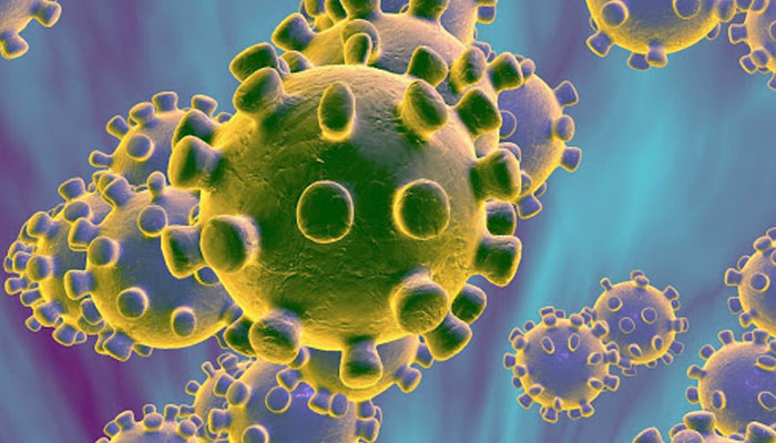 Microscopic image of the novel coronavirus. Photo: File.