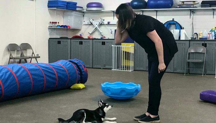 Dog trainer Hannah Richter works with Lucy at the Beasty Feasty store in New York, US. — AFP/File