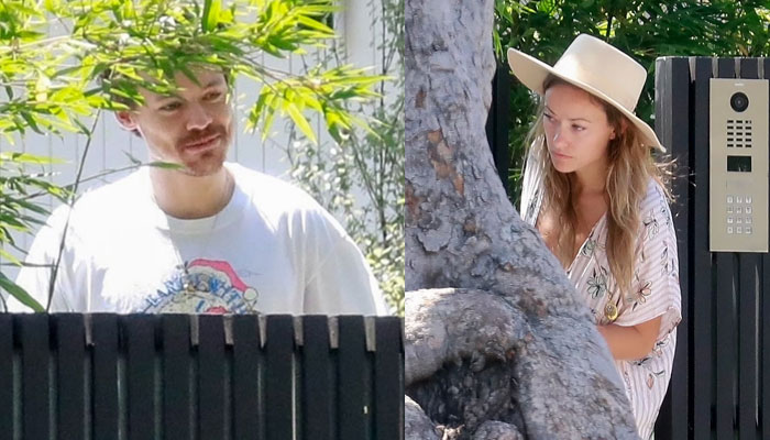 Harry Styles looks unrecognizable in thick mustache