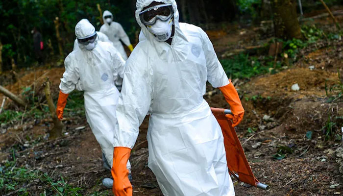 Deadly virus from bats with 88% fatality rate found in Guinea