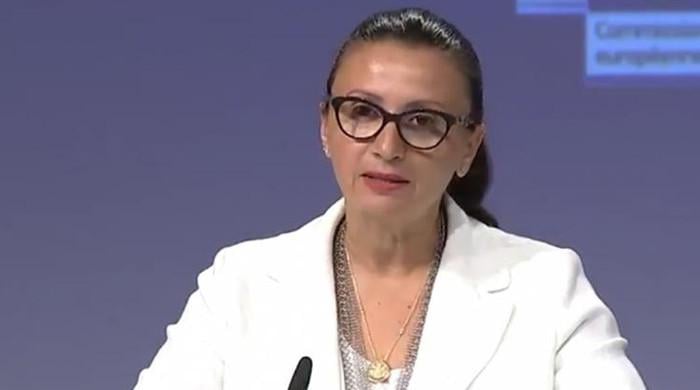 EU foreign ministry spokesperson raises concerns over violence against journalists in Pakistan