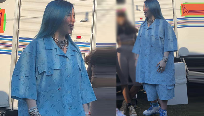 Billie Eilish hilariously responds to fan over boring comments about her style