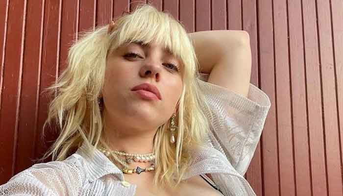 Billie Eilish hilariously responds to fan over boring comments about her style