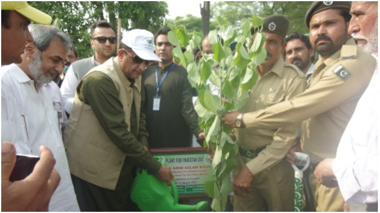 Special Assistant to Prime Minister (SAPM) on Climate Change Malik Amin Aslam planting a tree. APP