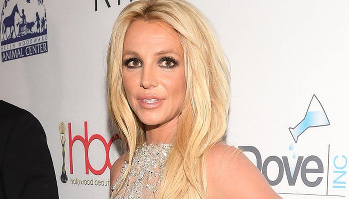Britney Spears called 911 to report theft but strangely did not file report