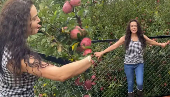 Watch: Preity Zinta gives fans glimpse into her childhood apple tree farms in Shimla