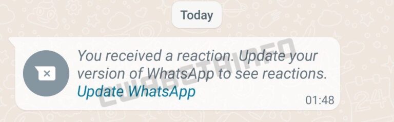 WhatsApp screenshot. Photo: WABetainfo