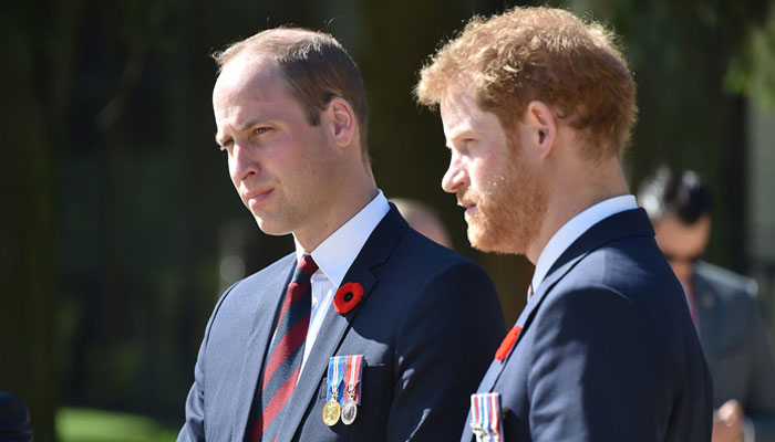 Sources reveal rare insight into Prince Harry, William’s relationship